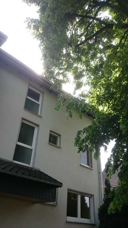 Single wohnung recklinghausen mieten